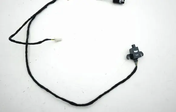 Front door wiring loom