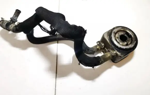 Peugeot 307 Engine oil radiator 9637319180