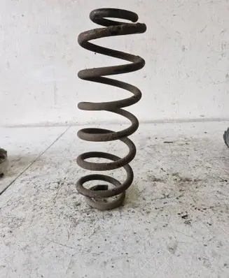 Rear coil spring