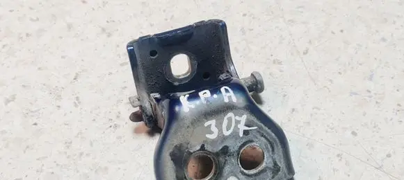 Peugeot 307 Front door lower hinge ES70