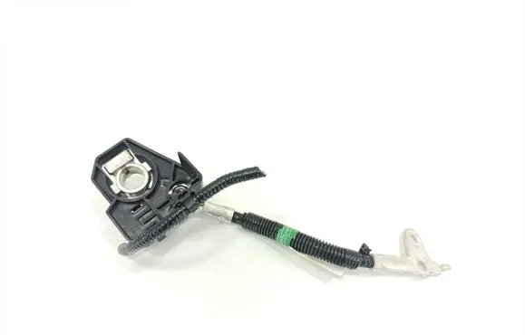 Toyota Highlander XU70 Negative earth cable (battery) 821650E040