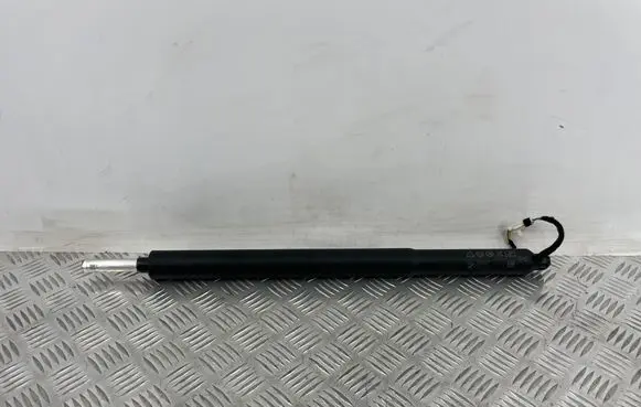BMW iX2 (U10) Tailgate/trunk strut/damper 5A2FBE5 F1233079 13112024