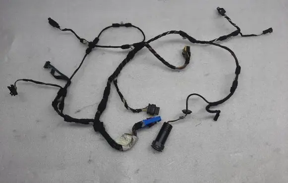 Porsche Panamera (971) Other wiring loom 97061265550