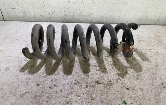 Dodge Challenger Rear coil spring 