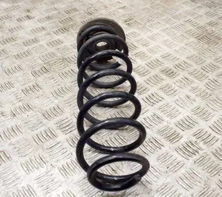 Rear coil spring