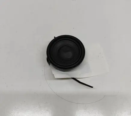 Panel speaker