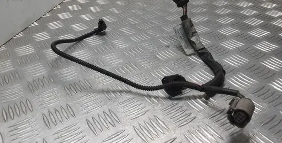 Audi A5 Sportback 8TA Other wiring loom 059971627D
