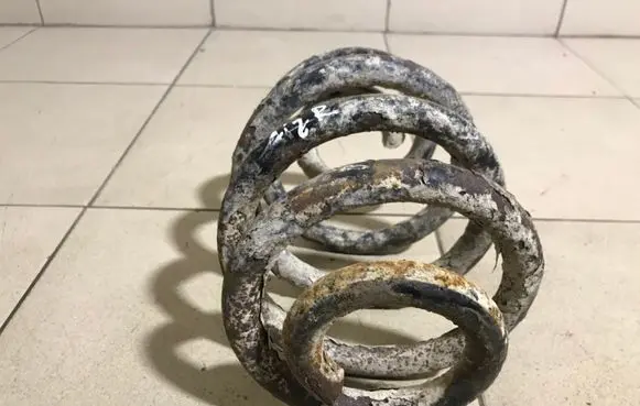 Ford Galaxy Rear coil spring