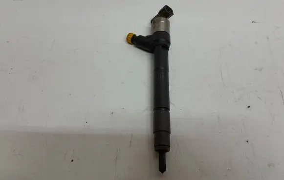 Opel Insignia A Fuel injector 55570012