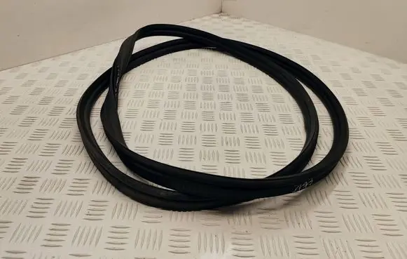 Ford Focus Trunk rubber seal (body)