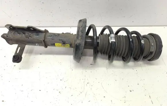 Opel Zafira C Front shock absorber/damper 13419918 522953660