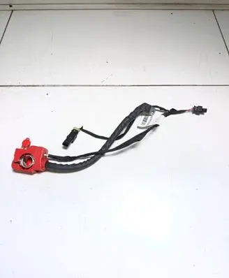 Mercedes-Benz EQC Positive cable (battery) 841C118101 MA05111453 8F012312