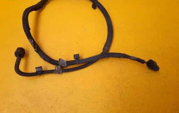 Dacia Sandero Other wiring loom 407892R1R