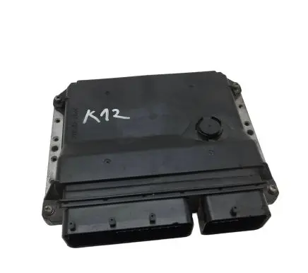 Toyota Auris 150 Engine control unit/module 8966102D81 MB1758009580