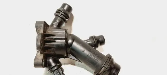 Thermostat/thermostat housing