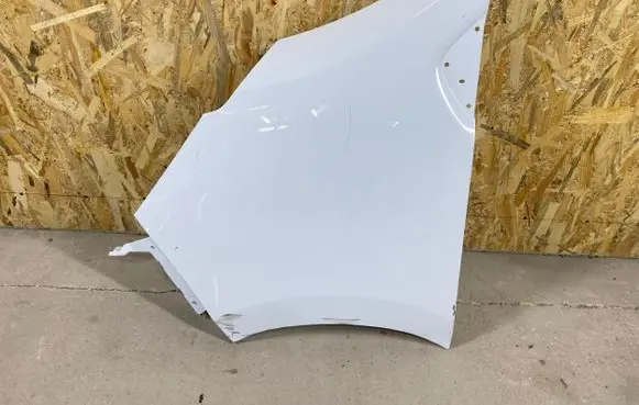 Renault Trafic III (X82) Fender 631018862R
