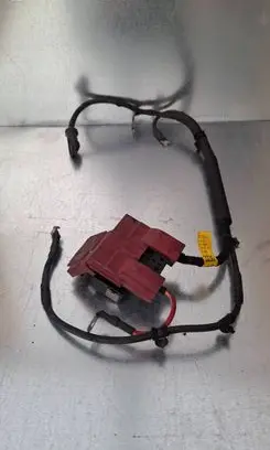 Opel Mokka X Positive cable (battery) 95423230