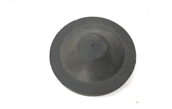 Volkswagen Golf VI Headlight/headlamp dust cover 160184