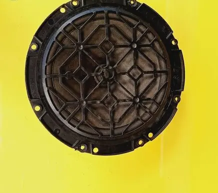 Citroen C2 Front door speaker