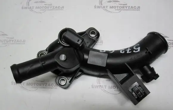Thermostat/thermostat housing
