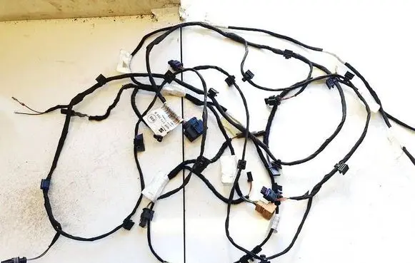 Cupra Born Other wiring loom 10w971104b