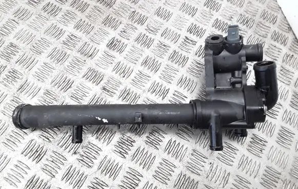 Thermostat/thermostat housing