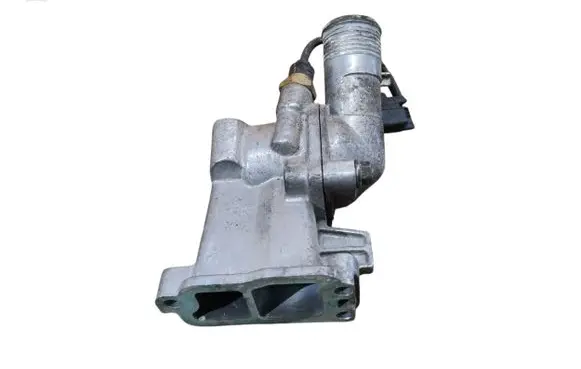 Thermostat/thermostat housing