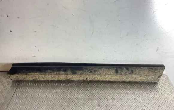 Front door trim (molding)
