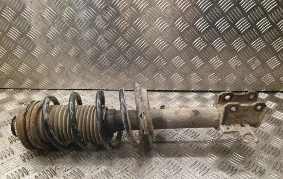 Opel Zafira B Front shock absorber with coil spring 22214012