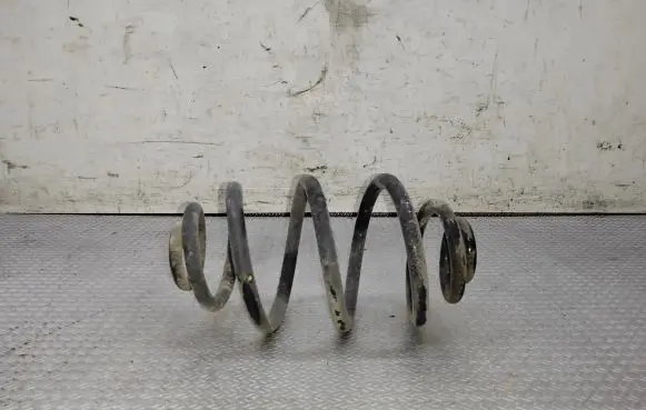 Volkswagen PASSAT B5.5 Rear coil spring