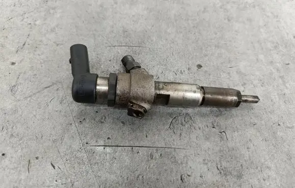 Citroen C3 Fuel injector 96459885805WS40007