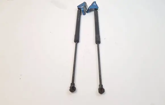 Renault Zoe Tailgate/trunk strut/damper 904502915R F3555N