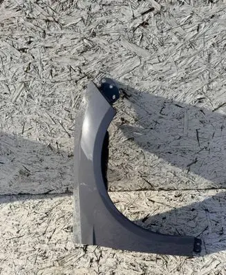 Ford Focus Fender