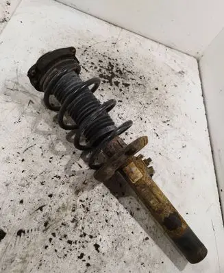 Front shock absorber with coil spring