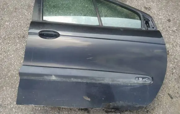 Renault Scenic I Front door juodos