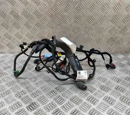 Skoda Enyaq iV Front door wiring loom 5LB971120T