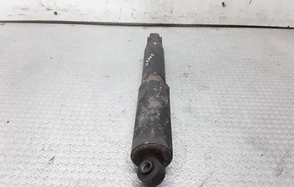 Fiat Doblo Rear shock absorber/damper