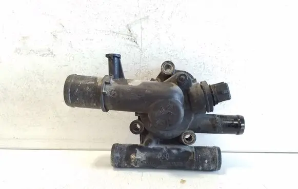 Thermostat/thermostat housing