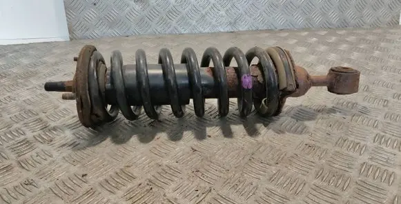Nissan Pathfinder R51 Front shock absorber with coil spring