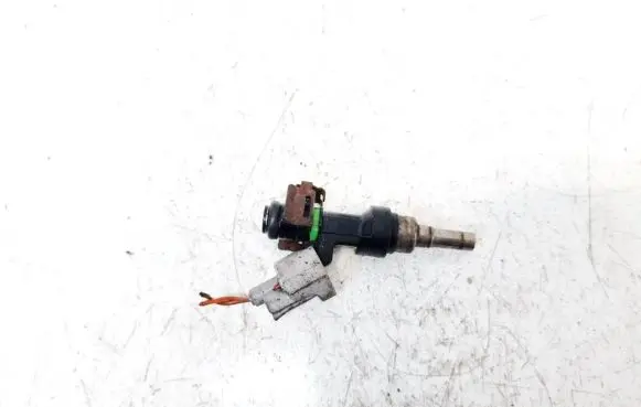Nissan Note (E11) Fuel injector fby1160 6006627