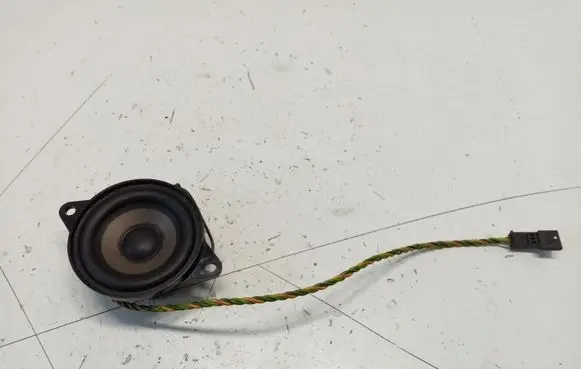 BMW X5 E53 Panel speaker 65138379375