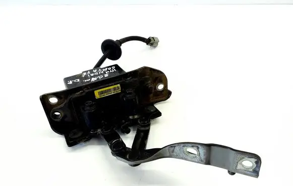 Hyundai Santa Fe Engine bonnet/hood hinges 791602W000
