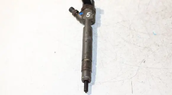 Mercedes-Benz S W220 Fuel injector A6280700387 0445110094