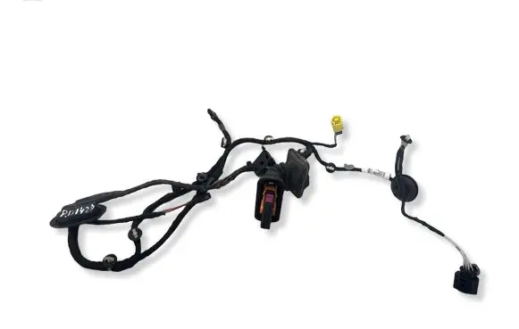 Volkswagen PASSAT B7 Front door wiring loom 3AB971121BB