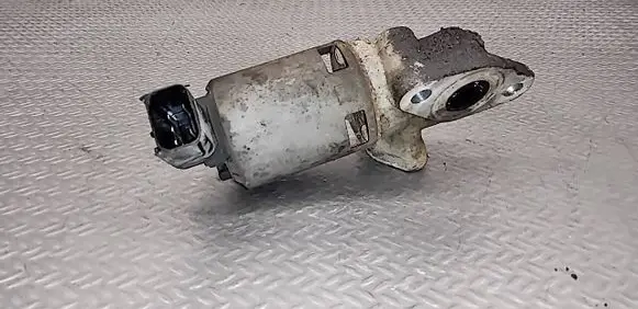 Volkswagen Routan EGR valve 04593896AB