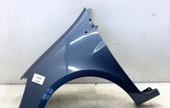 Renault Clio III Fender 