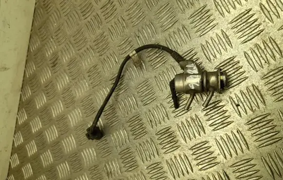 Volkswagen Transporter - Caravelle T6 Fuel injector 7E0131113C