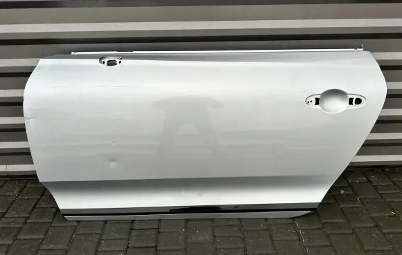 Bentley Continental Door (2 Door Coupe) 3SD831311
