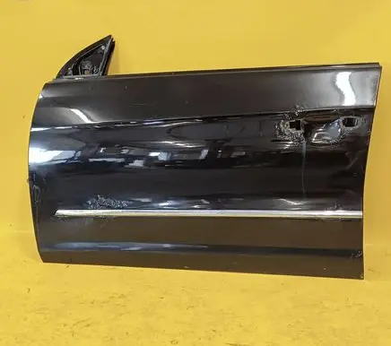 Volkswagen PASSAT B5 Front door