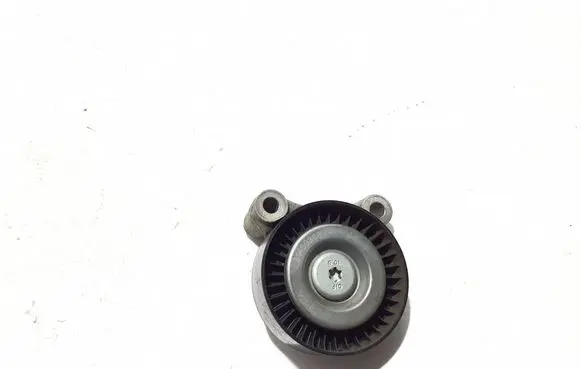 Volvo XC90 Timing belt/chain tensioner 31460386